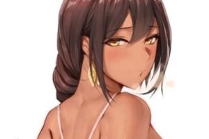 pixiv上Laserflip与Metal Owl的合集