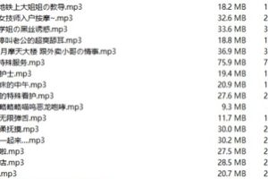 虎牙超火爆风靡宅男圈孤枕难眠绅士们的女朋友[AS梦R音声]（Aki秋水）最新散播18R合集[68v-14.7G]