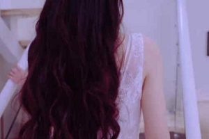 某推超美ren qi（多乙）合集