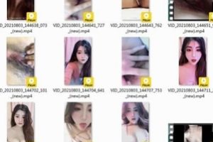 抖音风颜值女神(金鑫蔓笙)私人订制作品合集