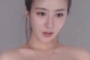 AI明星换脸全网收集超大合集