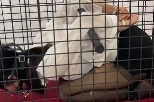 港台网红《涵涵》教育剧情特辑