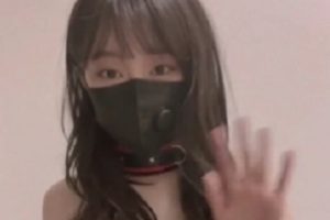 自玩《rabbyjay》水果杀手