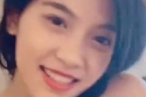 社保精品视图小合集