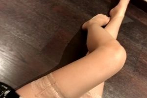 12.12《一只哈比猪》丝腿合集：多彩视频尽显可爱魅力